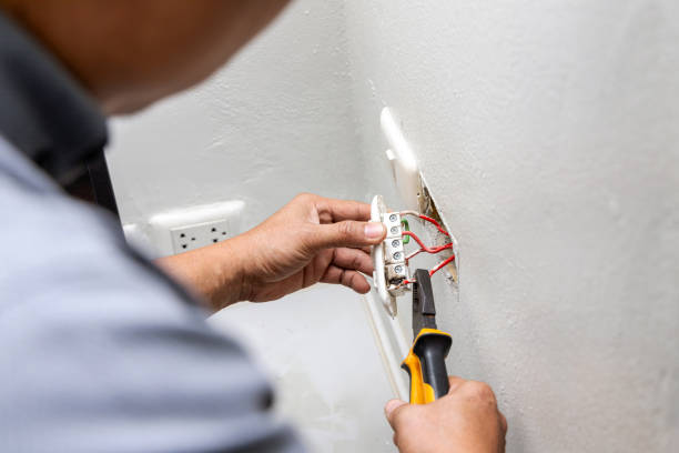 Best Ceiling Fan Installation Electrician  in Hayneville, AL