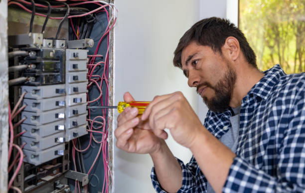 Best Electrical Upgrades for Homes  in Hayneville, AL